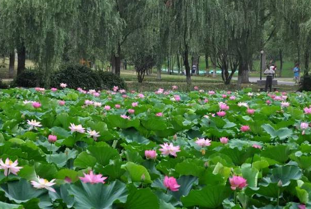 微信截图_20200514180445.png