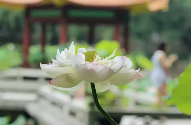 微信截图_20200514180445.png