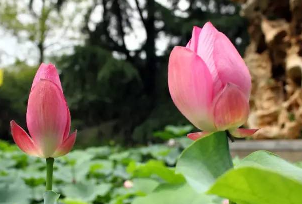 微信截图_20200514180445.png