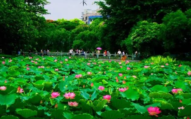 微信截图_20200424173630.png