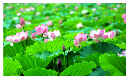 微信截图_20200514180445.png