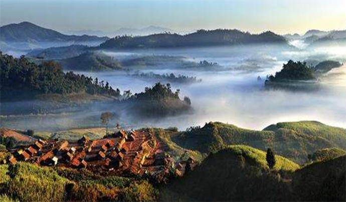 1536913527216743.jpg 22.jpg