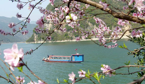 微信截图_20200331085641.png