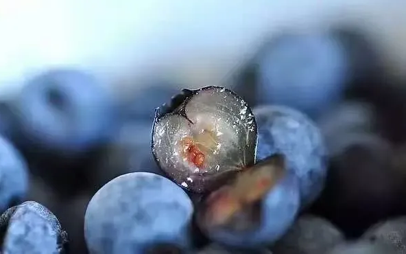 微信截图_20200421115435.png