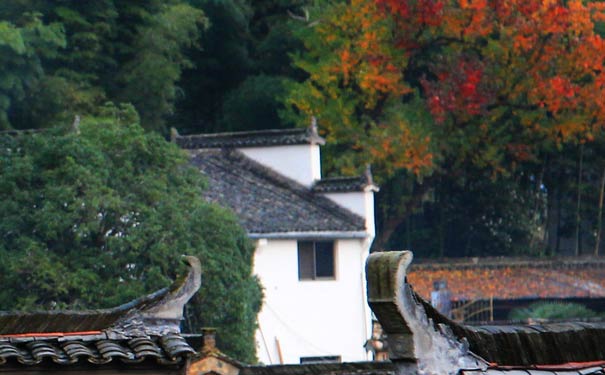 塔川-