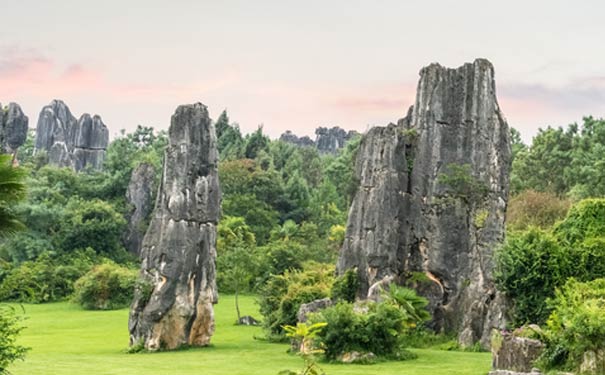 云南春节旅游推荐四：春节去云南昆明石林旅游